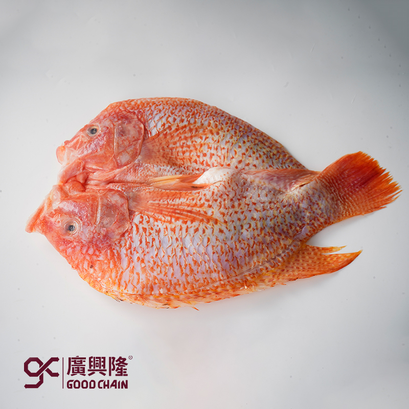 红星斑[渔民优选]400-500