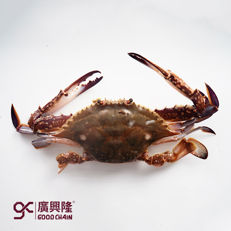 生冻梭子蟹[渔民优选](100-150)