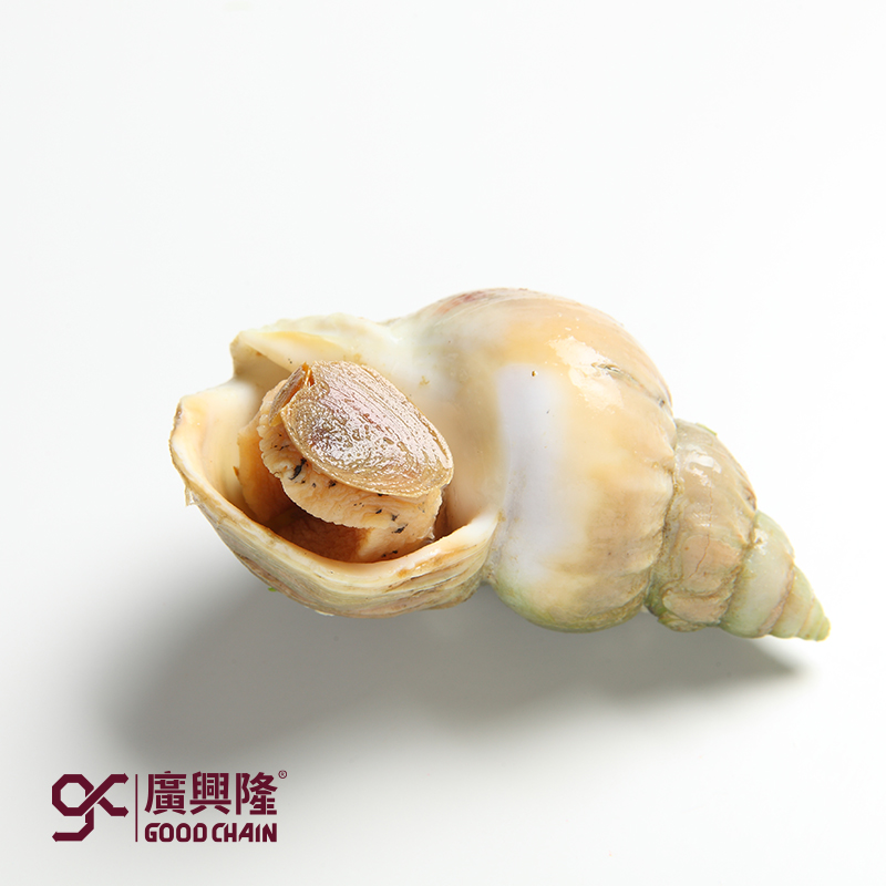 北峨螺