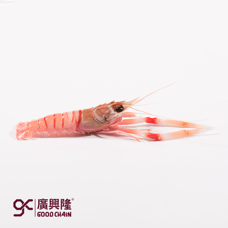 冷冻海鳌虾20-30